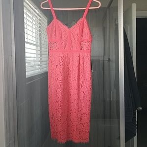Super pretty coral Express lace sheath dress